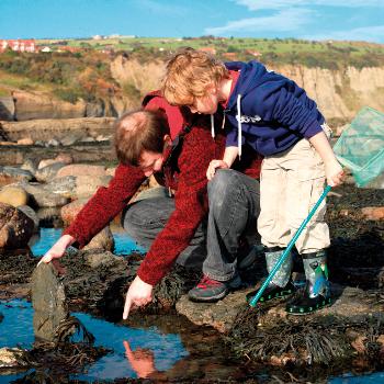 Learn about wildlife and heritage at Robin Hood’s Bay